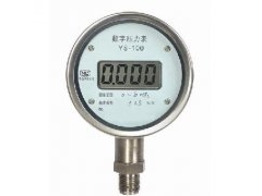 數(shù)字壓力表